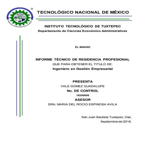 Informe técnico 