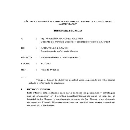 INFORME TECNICO SARA TELLO