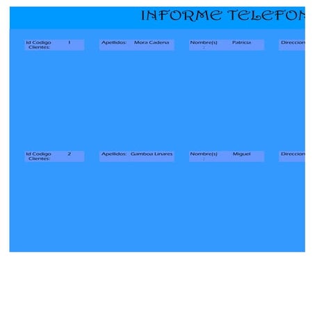 Informe telefono