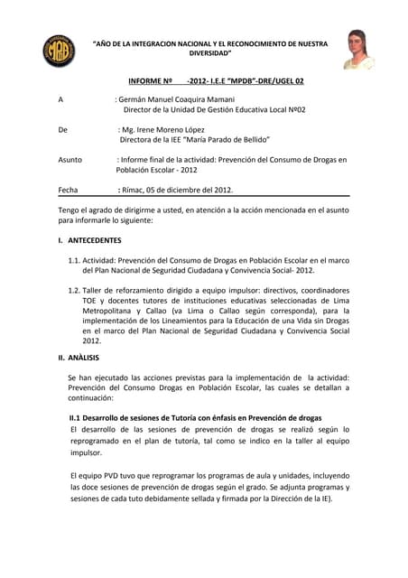 Informe ugel pvd terminado