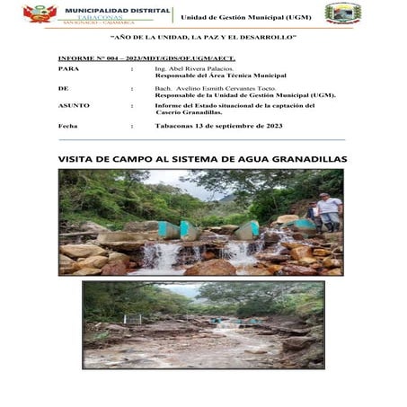 INFORME VISITA A GRANADILLAS (3).docx