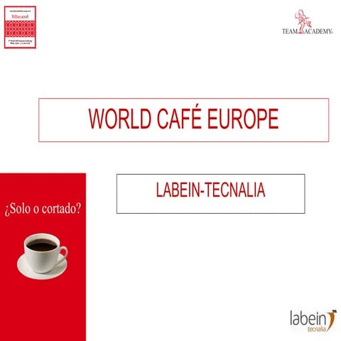 Informe world café equipos emprendedores y sostenibilidad 5 junio 2008 v1