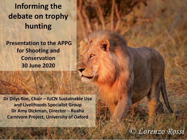 Informing the debate on trophy hunting