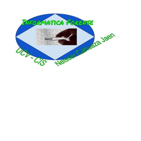 Informática forense