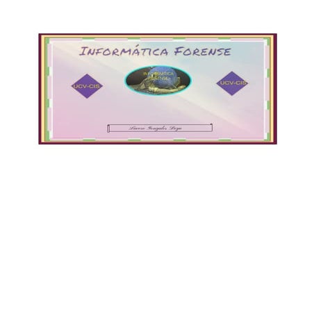 Informática forense