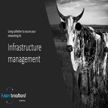 Infrastructure management using a VPN Concentrator