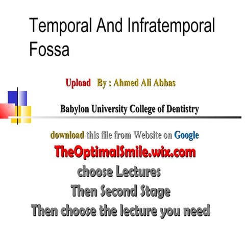 Infratemporal fossa