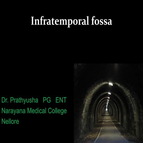 Infra temporal fossa