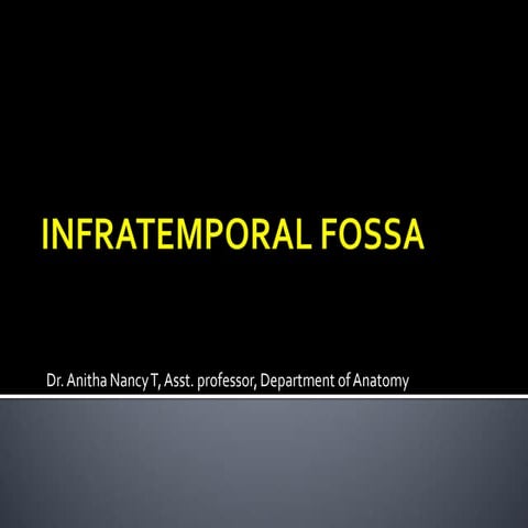 Infra temporal fossa
