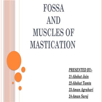Infratemporal Fossa and Muscles of Mastication Final.pptx
