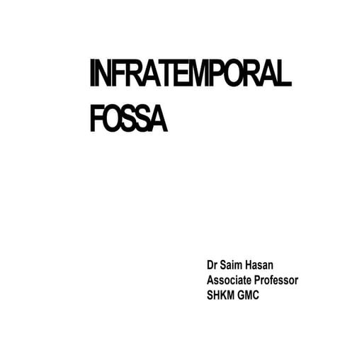 Infratemporal fossa 