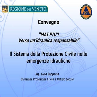 Luca Soppelsa: il sistema di protez...