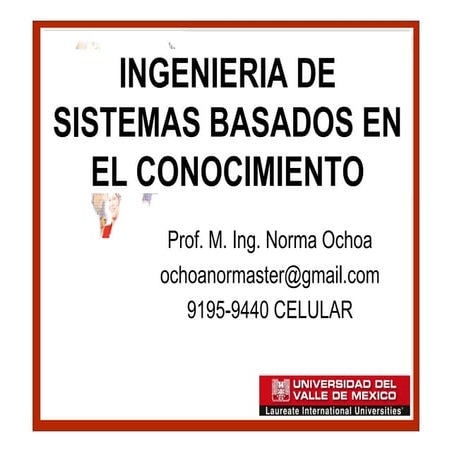 Ing. sist. basados conocimient ox