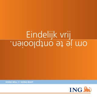 Brochure Bachelors NL