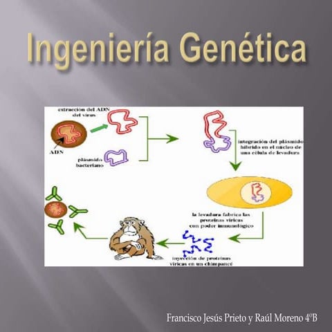 Ingenería genética 4ºB