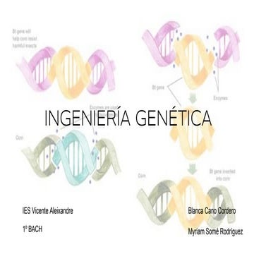 Ingeniería genética Presentación