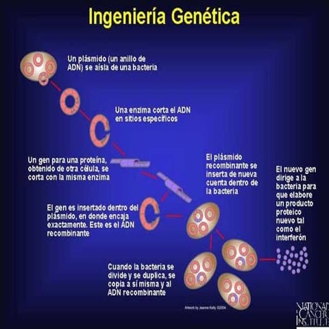 Ingenieria genetica
