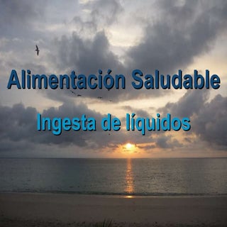 Ingesta De Liquidos