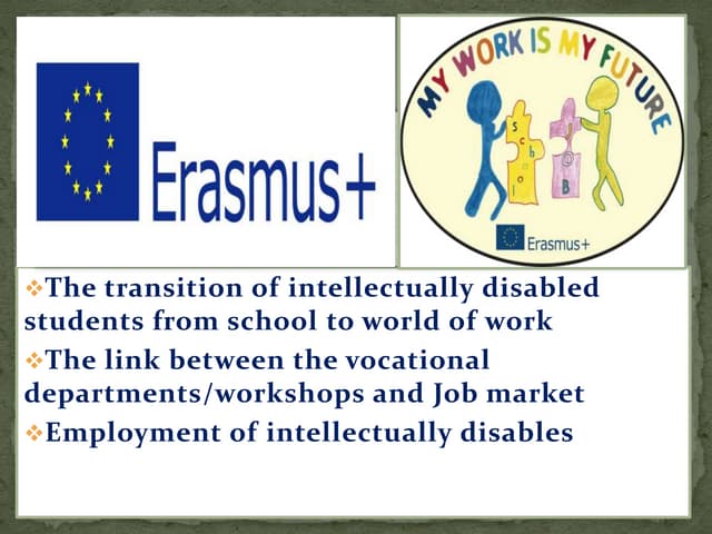 The transition of intellectually disabled students from school to world of work