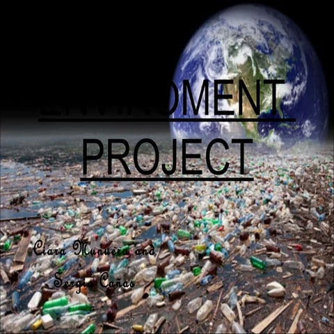 Enviroment Project