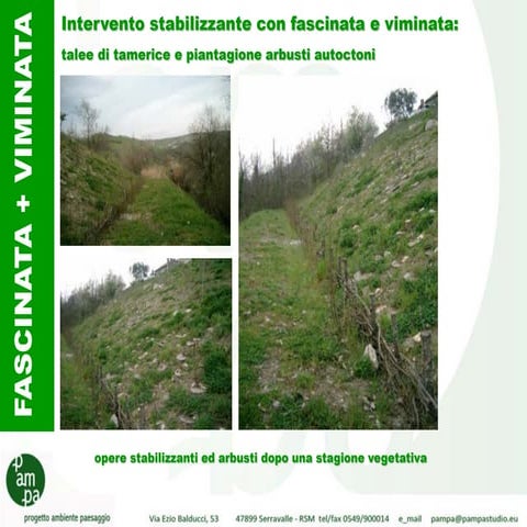 INGEGNERIA NATURALISTICA  2