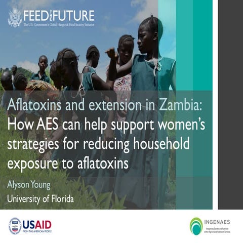 Aflatoxins and Extension in Zambia