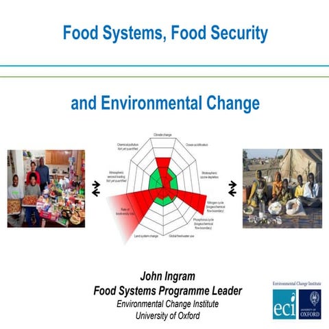 Food systems, food security and environmental change