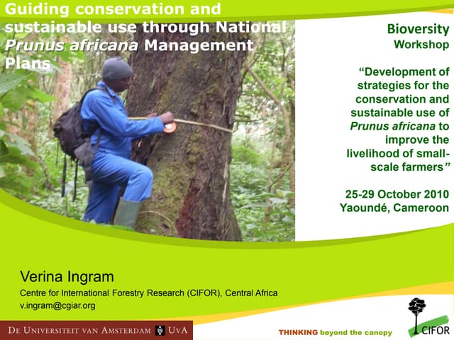 Guiding conservation and sustainable use through a national Prunus africana Management Plan, Cameroon