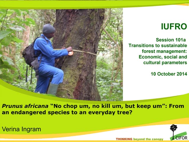 Prunus africana “No chop um, no kill um, but keep um”: From an endangered species to an everyday tree? 