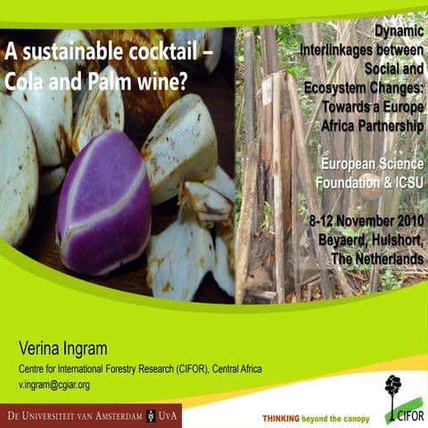 A sustainable cocktail? Cola and palm wine