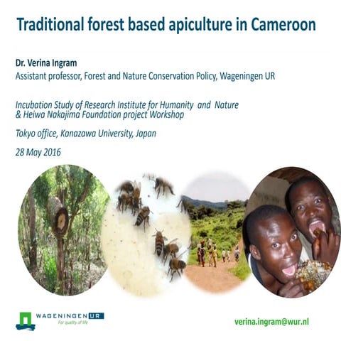 Ingram traditional and modern forest apiculture in cameroon 2016 | PDF