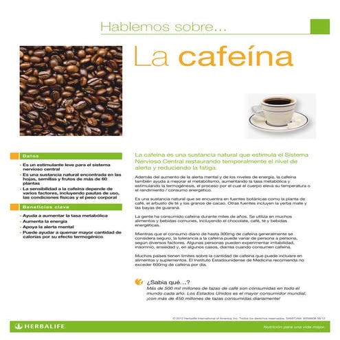 Ingredientes cafeina