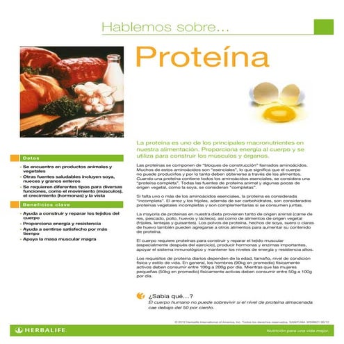 Ingredientes proteinas