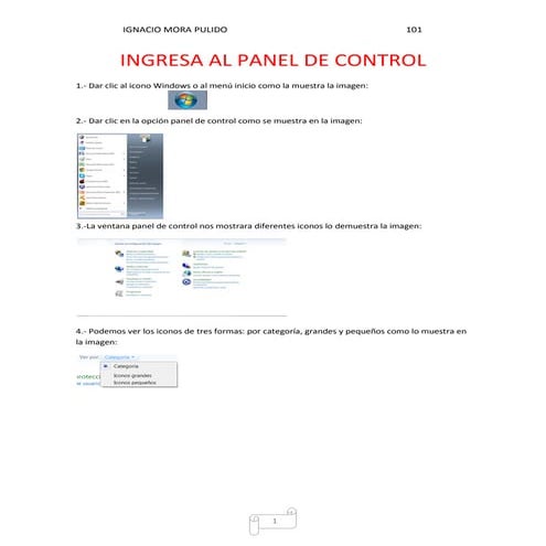 Ingresar al panel de control | PDF