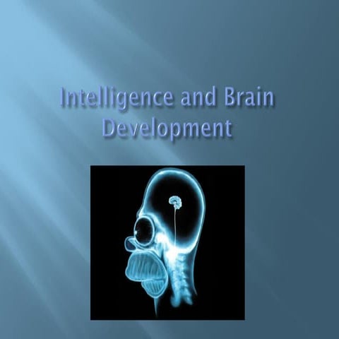 Ingtelligence notes for review