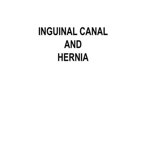 Inguinal canal