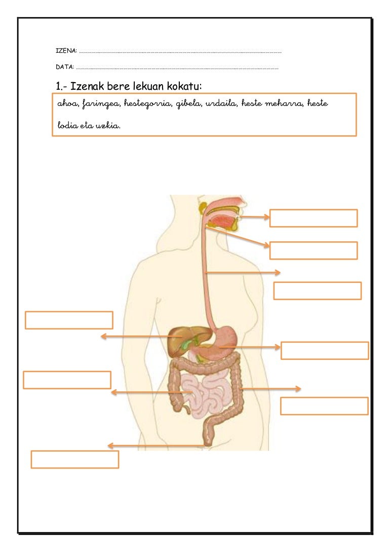 Inguru ru осаго