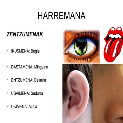 Ingurune 2.gaia power point