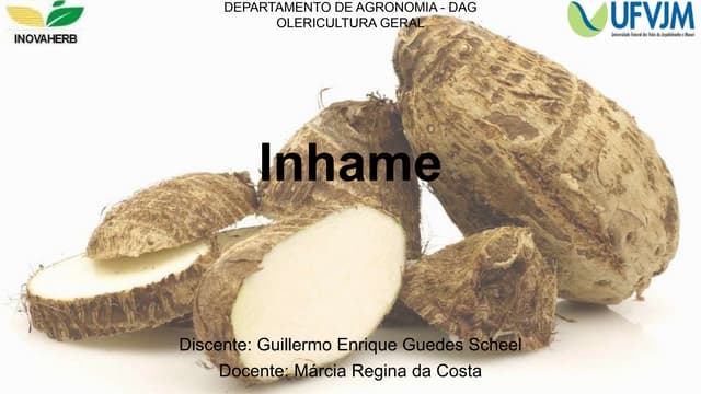 Inhame | PPTX