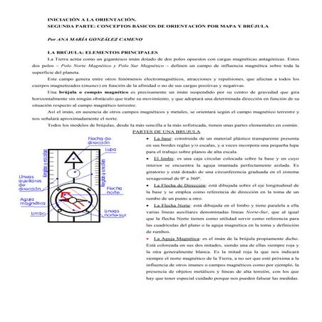 Iniciacion A La Orientacion