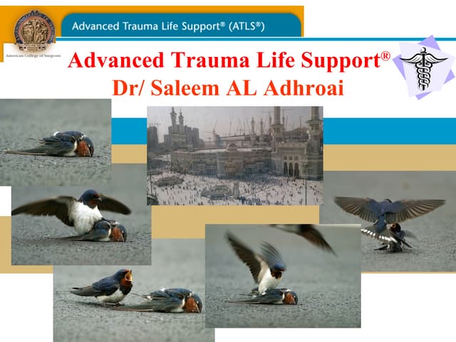Initial assesment  atls