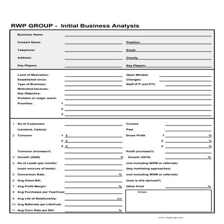 Initial Biz Analysis Rwp