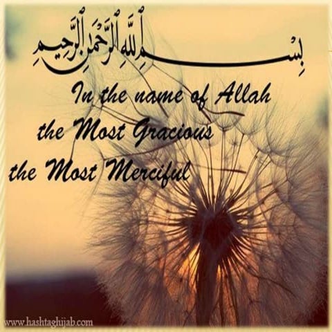 Initial difficulties after establishment of pakistan FURQAN M LODHI