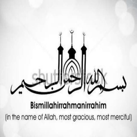 Initial difficulties of pakistan