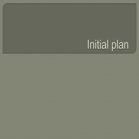 Initial plan