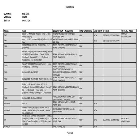 Comprehensive Injection System Diagnostics for Multiple Car Brands | PDF