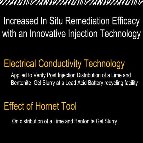 ZEBRA Environmental Injections | PPT
