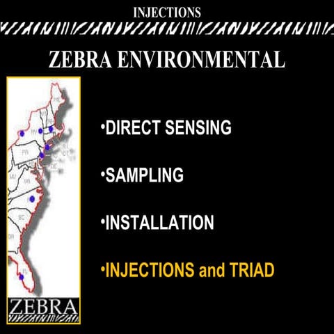 ZEBRA Environmental Injections | PPT