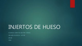 injertos de pelo