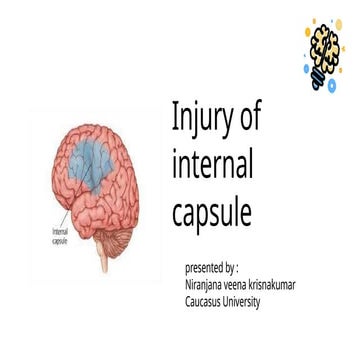 Injuries of internal capsule presentation-.pptx